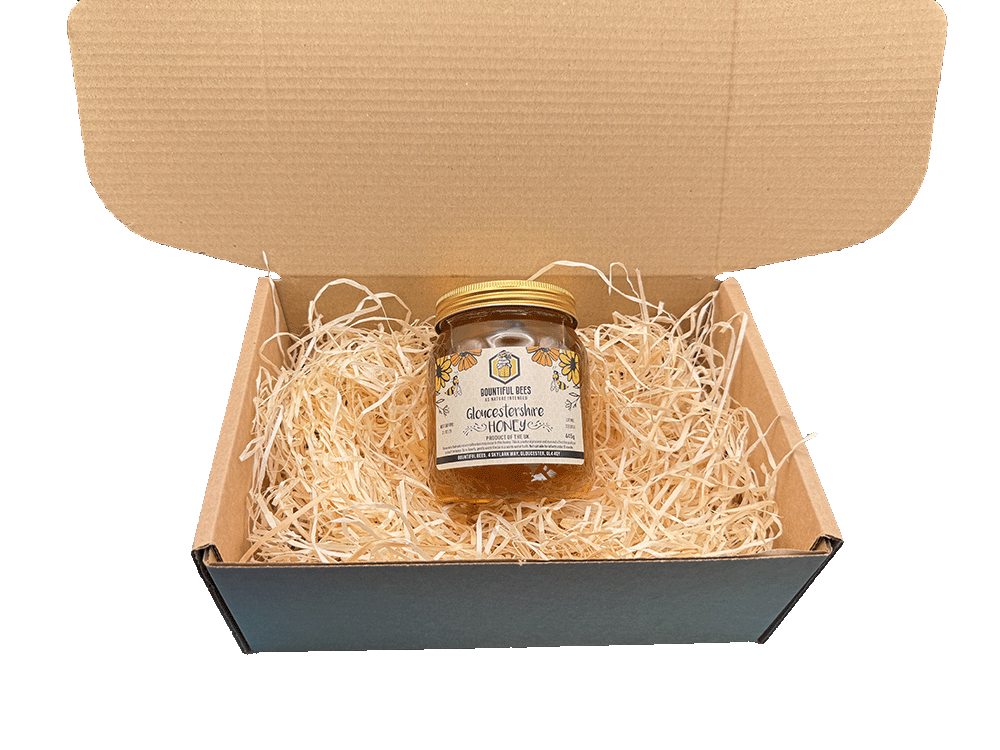 16 oz 445g Jar of honey in box