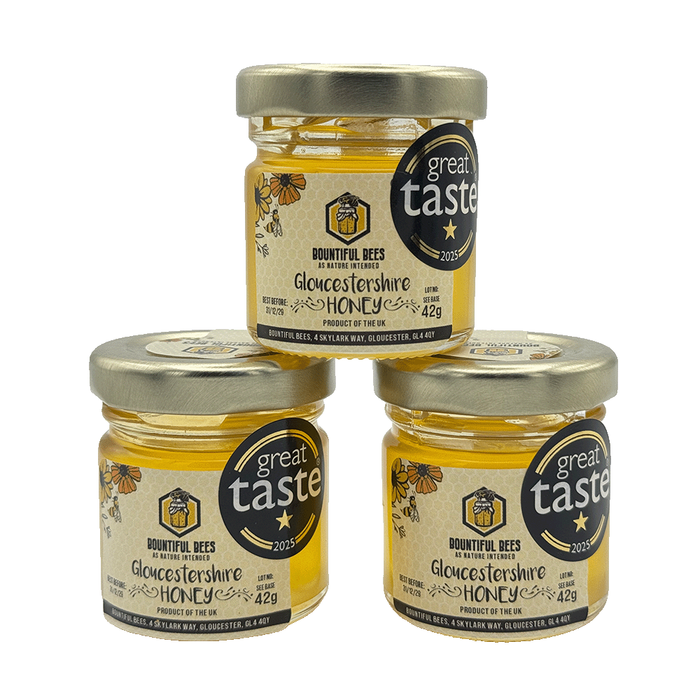 Mini Gloucestershire Honey Trio – 3 x 42g Jars