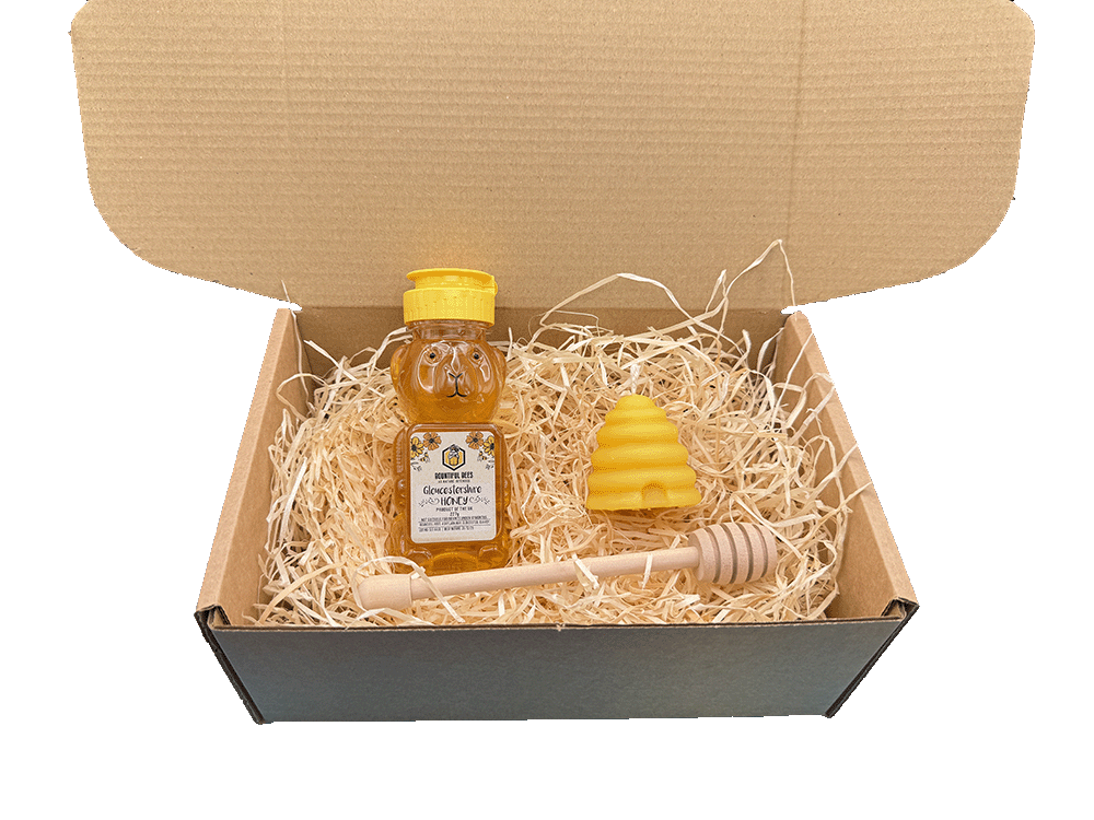 Honey Bee Lovers Gift Set! Honey + Candle Gift Bundle