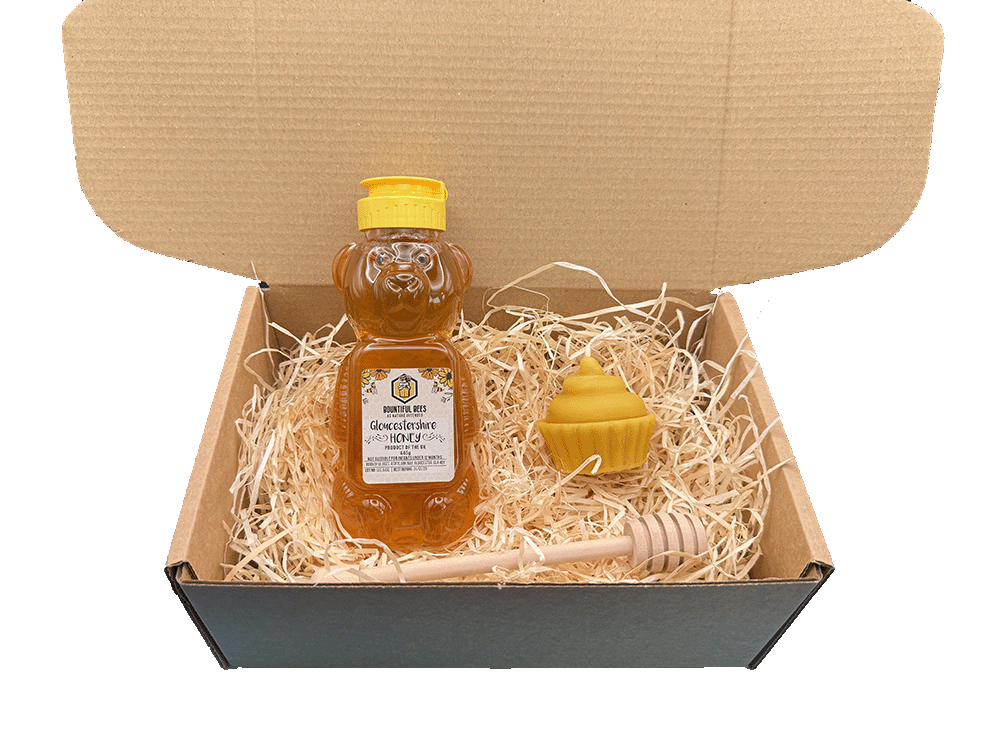 Honey Bee Lovers Deluxe Gift Set