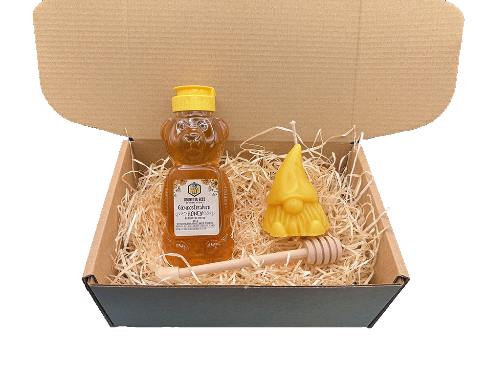 Honey Bee Lovers Deluxe Gift Set