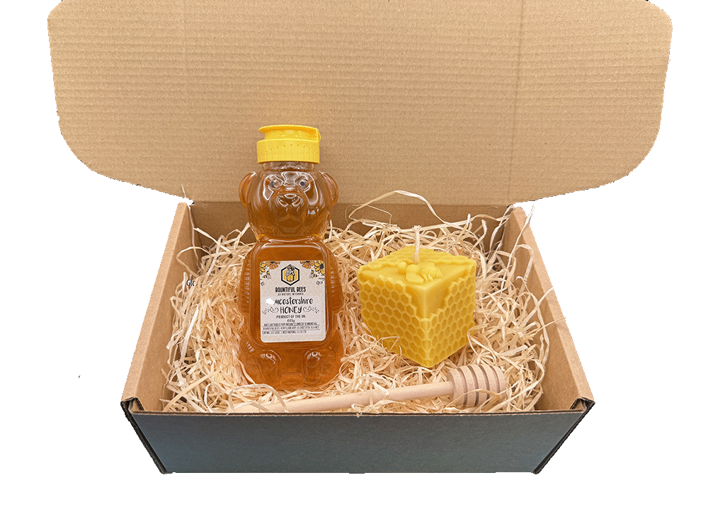 Honey Bee Lovers Deluxe Gift Set