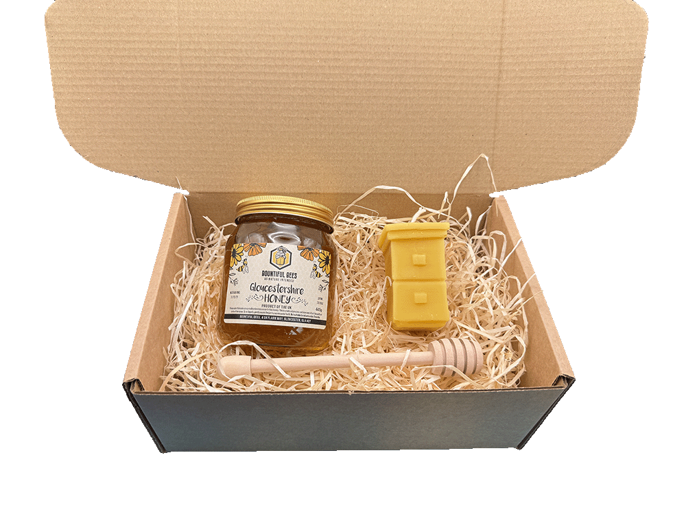 Honey Bee Lovers Deluxe Gift Set