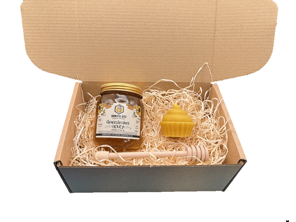 Honey Bee Lovers Deluxe Gift Set