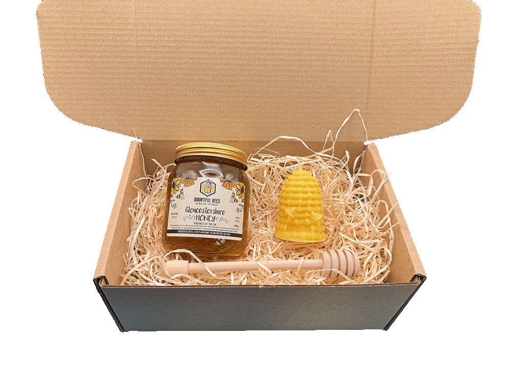 Honey Bee Lovers Deluxe Gift Set