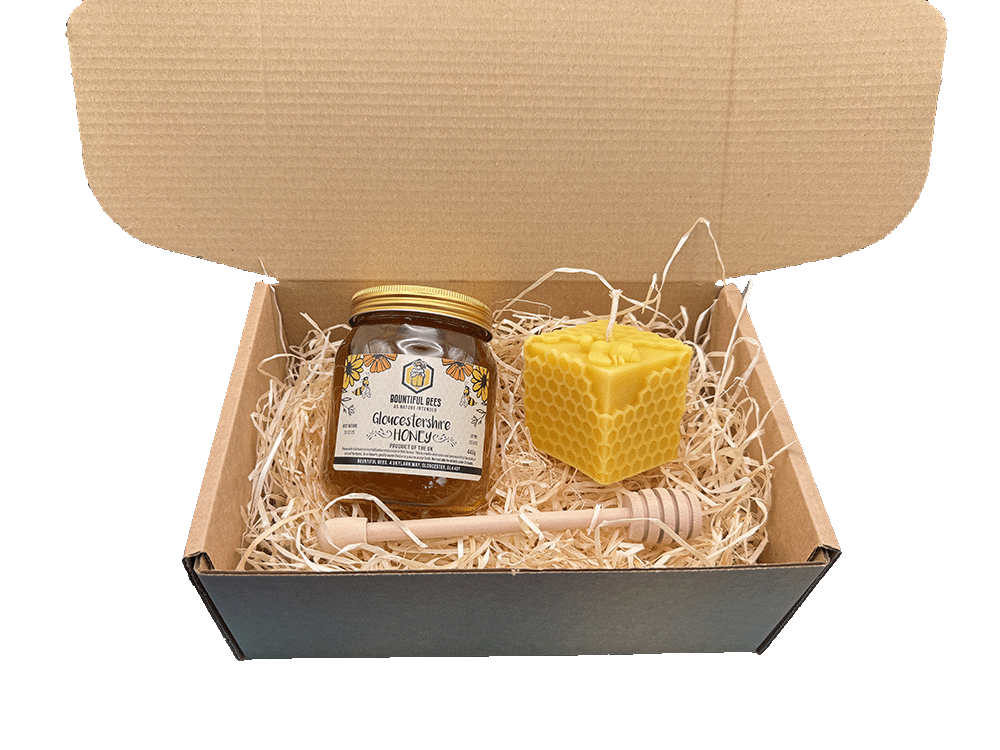Honey Bee Lovers Deluxe Gift Set