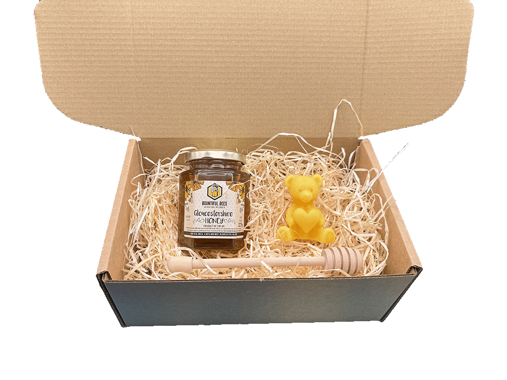 Honey Bee Lovers Gift Set! Honey + Candle Gift Bundle