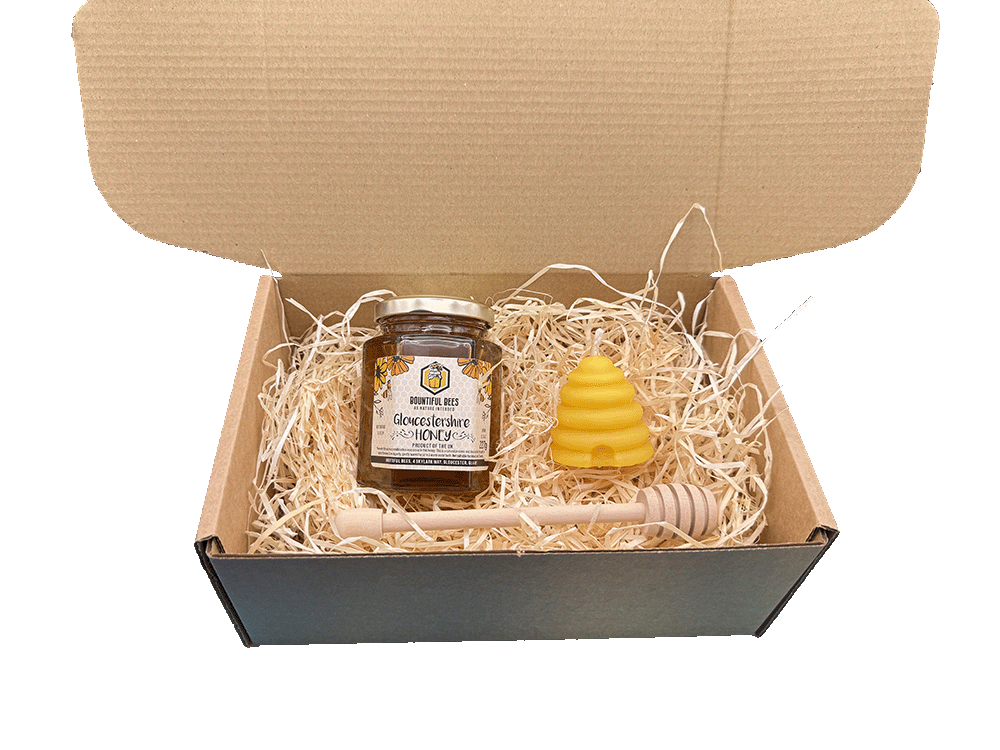 Honey Bee Lovers Gift Set! Honey + Candle Gift Bundle