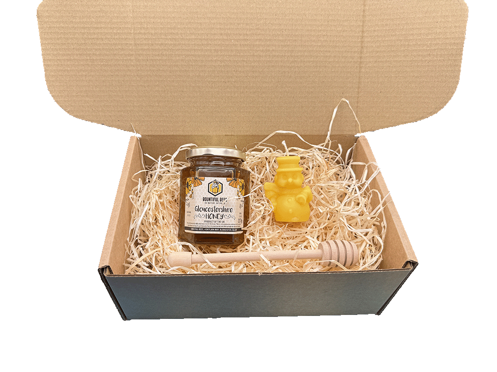 Honey Bee Lovers Gift Set! Honey + Candle Gift Bundle