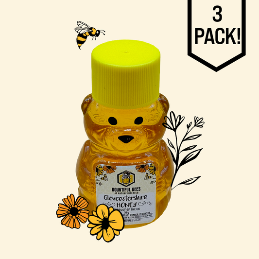 3 Pack of Gloucestershire Honey - 56g Bear