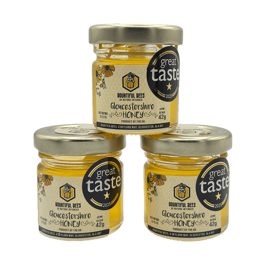Mini Gloucestershire Honey Trio – 3 x 42g Jars