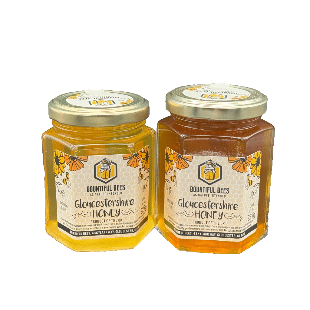 Twin pack of Gloucestershire Honey