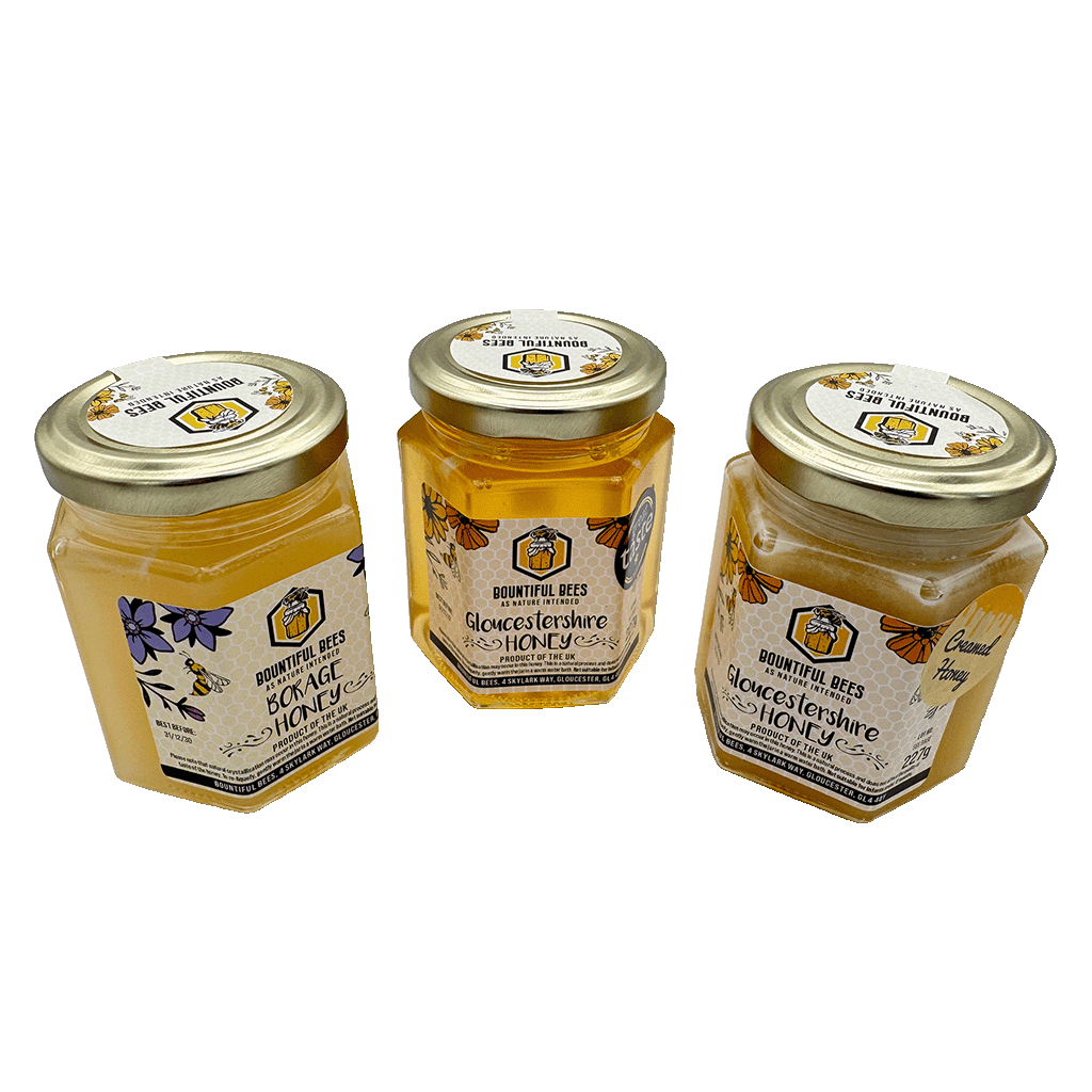 The Ultimate Honey Bundle