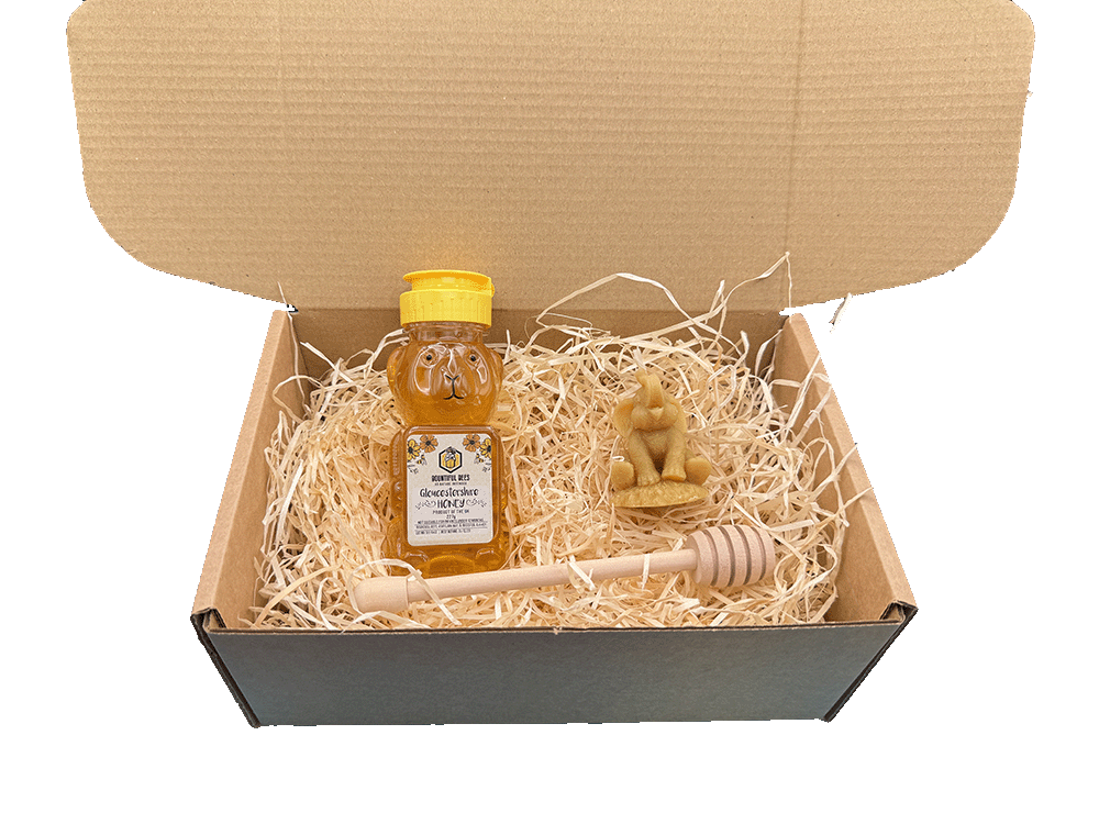 Honey Bee Lovers Gift Set! Honey + Candle Gift Bundle