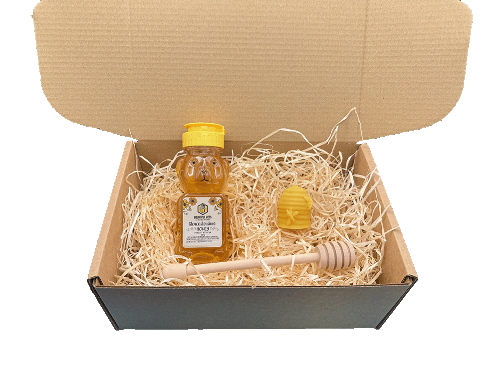 Honey Bee Lovers Gift Set! Honey + Candle Gift Bundle