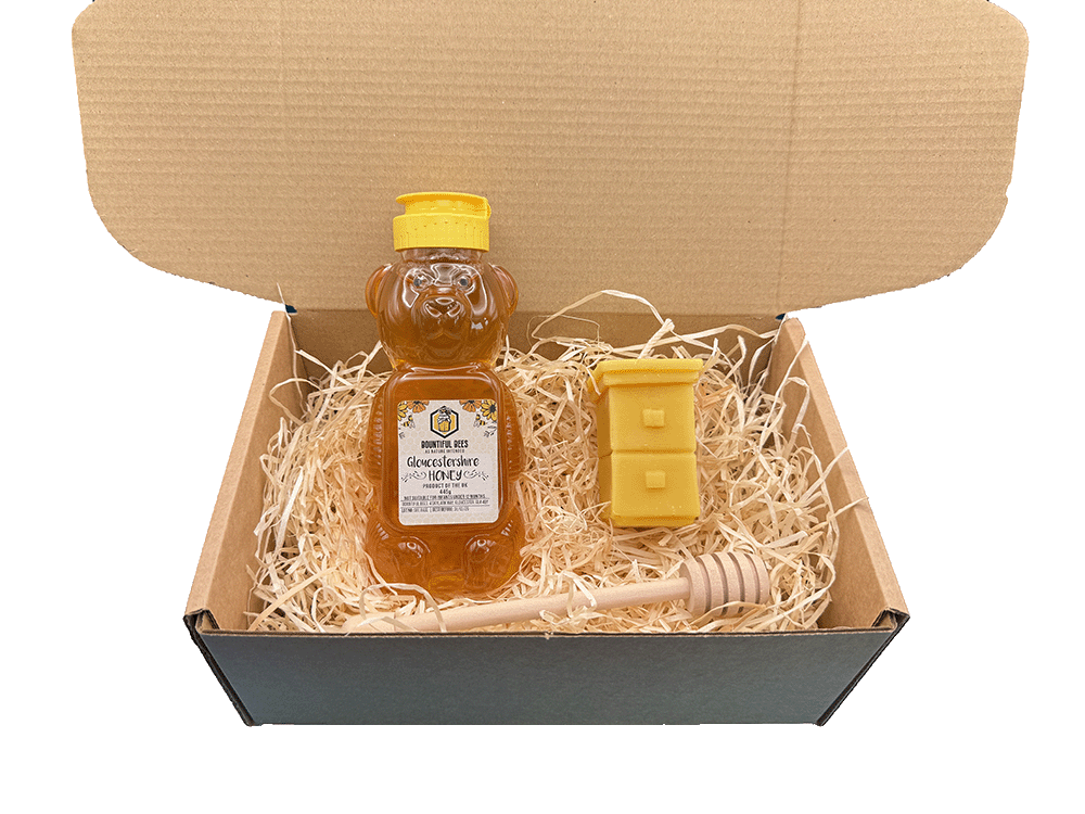 Honey Bee Lovers Deluxe Gift Set