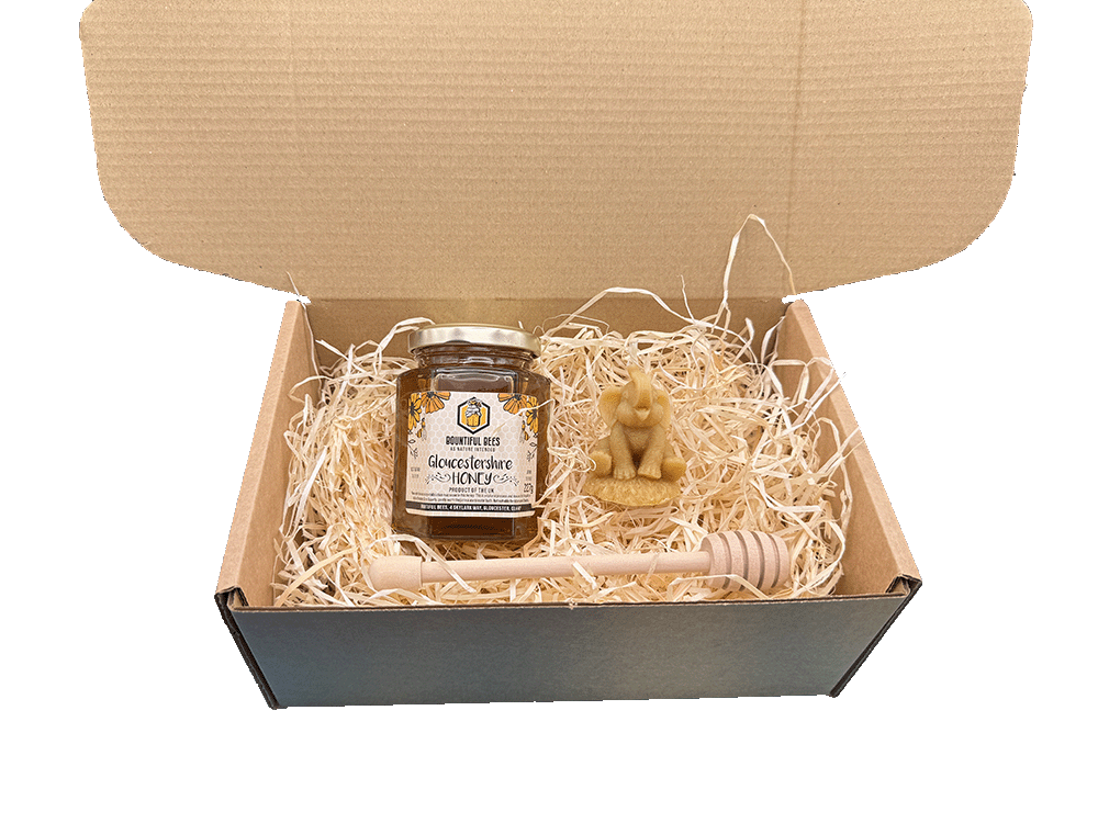 Honey Bee Lovers Gift Set! Honey + Candle Gift Bundle