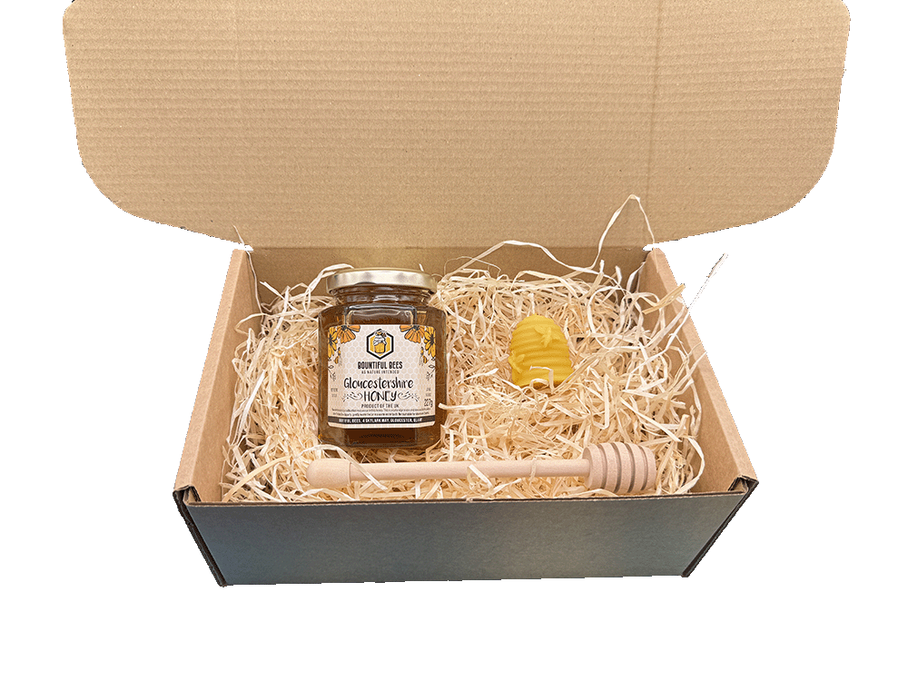 Honey Bee Lovers Gift Set! Honey + Candle Gift Bundle